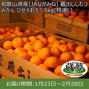 和歌山県産(JAながみね) 蔵出ししもつみかん ひかえおろう 5kg(特選L) 糖度13度【限定100点】【お届け期間：1月23日〜2月28日】【おいしいお取り寄せ】