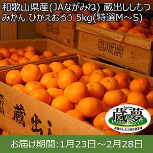 和歌山県産(JAながみね) 蔵出ししもつみかん ひかえおろう 5kg(特選M〜S) 糖度13度【限定150点】【お届け期間：1月23日〜2月28日】【おいしいお取り寄せ】