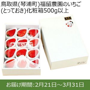 鳥取県(琴浦町)福留農園のいちご(とっておき)化粧箱500g以上 12〜15粒【お届け期間:2月21日〜3月31日】【ふるさとの味・中四国】