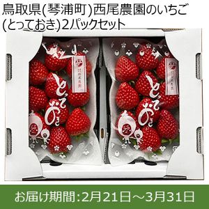 鳥取県(琴浦町)西尾農園のいちご(とっておき)2パックセット250g以上×2パック【お届け期間:2月21日〜3月31日】【ふるさとの味・中四国】