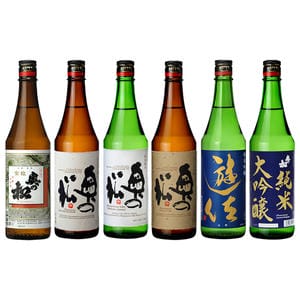燗酒コンテスト金賞入り日本酒6本セット 720ml×6本【イオンゴールドカード会員さま限定特別セール3月】