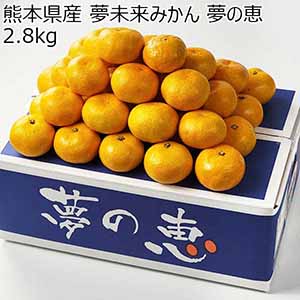 熊本県産 夢未来みかん 夢の恵 2.8kg【お届け期間：1月7日〜1月31日】【おいしいお取り寄せ】