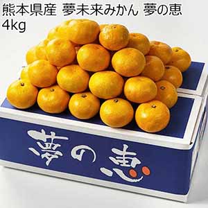 熊本県産 夢未来みかん 夢の恵 4kg【お届け期間：1月7日〜1月31日】【おいしいお取り寄せ】