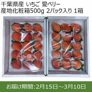 千葉県産 いちご 愛ベリー 産地化粧箱500g 2パック入り 1箱【限定100点】【お届け期間：2月15日〜3月10日】【おいしいお取り寄せ】