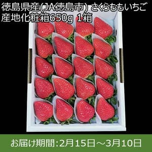 徳島県産(JA徳島市) さくらももいちご 産地化粧箱650g 1箱【限定50点】【お届け期間：2月15日〜3月10日】【おいしいお取り寄せ】