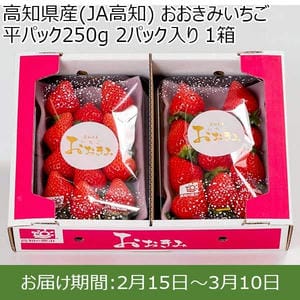 高知県産(JA高知) おおきみいちご 平パック250g 2パック入り 1箱【限定50点】【お届け期間：2月15日〜3月10日】【おいしいお取り寄せ】