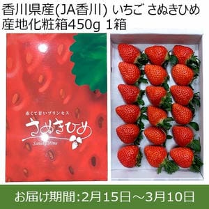 香川県産(JA香川) いちご さぬきひめ 産地化粧箱450g 1箱【限定50点】【お届け期間：2月15日〜3月10日】【おいしいお取り寄せ】