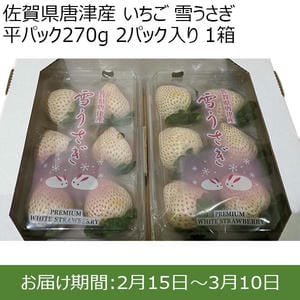 佐賀県唐津産 いちご 雪うさぎ 平パック270g 2パック入り 1箱【限定30点】【お届け期間：2月15日〜3月10日】【おいしいお取り寄せ】