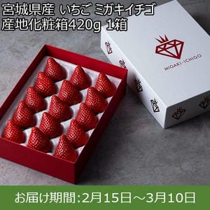 宮城県産 いちご ミガキイチゴ 産地化粧箱420g 1箱【限定50点】【お届け期間：2月15日〜3月10日】【おいしいお取り寄せ】