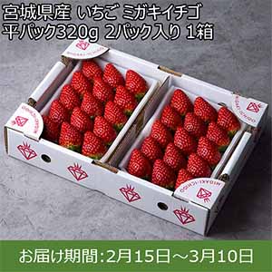 宮城県産 いちご ミガキイチゴ 平パック320g 2パック入り 1箱【限定50点】【お届け期間：2月15日〜3月10日】【おいしいお取り寄せ】