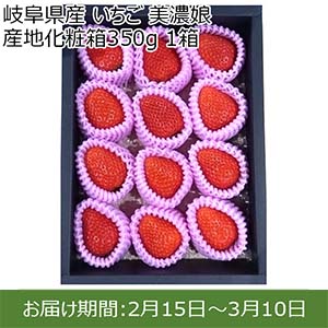 岐阜県産 いちご 美濃娘 産地化粧箱350g 1箱【限定30点】【お届け期間：2月15日〜3月10日】【おいしいお取り寄せ】