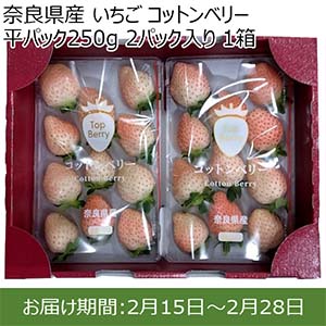 奈良県産 いちご コットンベリー 平パック250g 2パック入り 1箱【限定50点】【お届け期間：2月15日〜2月28日】【おいしいお取り寄せ】