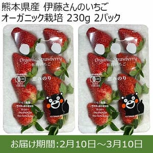 熊本県産 伊藤さんのいちご オーガニック栽培 230g 2パック ※ゆりかーご使用【限定200点】【お届け期間：2月10日〜3月10日】【おいしいお取り寄せ】