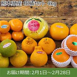 熊本県産 柑橘セット 4kg【お届け期間：2月1日〜2月28日】【お買い得セール1月】