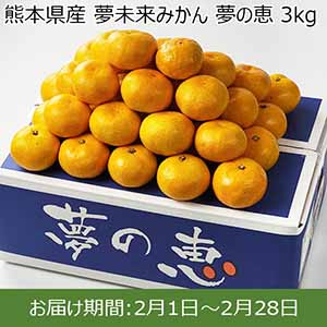 熊本県産 夢未来みかん 夢の恵 3kg 【お届け期間：2月1日〜2月28日】【お買い得セール1月】