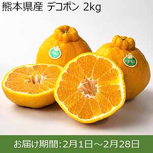 熊本県産 デコポン 2kg 【お届け期間：2月1日〜2月28日】【お買い得セール1月】