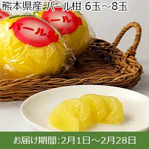 熊本県産 パール柑 6玉〜8玉 【お届け期間：2月1日〜2月28日】【お買い得セール1月】