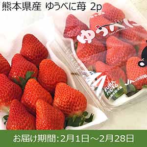 熊本県産 ゆうべに苺 2p 【お届け期間：2月1日〜2月28日】【お買い得セール1月】