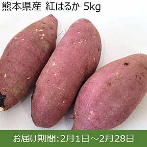 熊本県産 紅はるか 5kg 【お届け期間：2月1日〜2月28日】【お買い得セール1月】