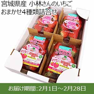 宮城県産 小林さんのいちご おまかせ4種類詰合せ 【限定200点】【お届け期間：2月1日〜2月28日】【お買い得セール1月】