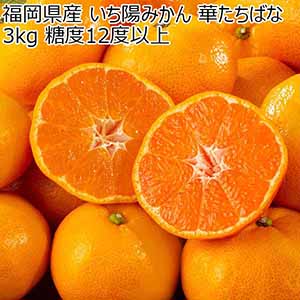 福岡県産 いち陽みかん 華たちばな 3kg 糖度12度以上【お届け期間：3月5日〜3月25日】【おいしいお取り寄せ】