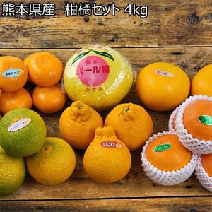 熊本県産  柑橘セット 4kg【お届け期間：2月21日〜3月7日】【BUZZTTO SALE2月】