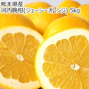 熊本県産 河内晩柑(ジューシーオレンジ) 5kg【お届け期間：4月1日〜4月25日】【超！春トク祭り】