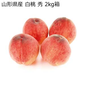 山形県産 白桃 秀 2kg箱(お届け期間：8/21〜8/31)【夏の贈りもの・お中元】