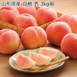 山形県産 白桃 秀 3kg箱(お届け期間：8/21〜8/31)【夏の贈りもの・お中元】