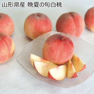 山形県産 晩夏の旬白桃(お届け期間：8/21〜8/31)【夏の贈りもの・お中元】