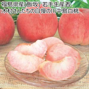福島県産(飯坂) 若手生産者、木村さんたちの自慢の川中島白桃(お届け期間：8/21〜8/31)【夏の贈りもの・お中元】