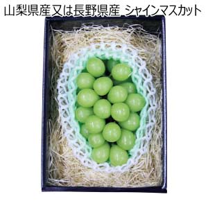 山梨県産又は長野県産 シャインマスカット(お届け期間：8/21〜8/31)【夏の贈りもの・お中元】