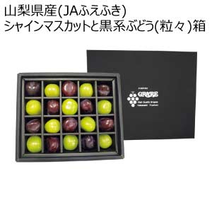 山梨県産(JAふえふき) シャインマスカットと黒系ぶどう(粒々)箱(お届け期間：8/21〜8/31)【夏の贈りもの・お中元】