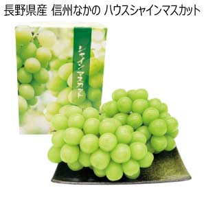 長野県産 信州なかの ハウスシャインマスカット(お届け期間：8/21〜8/31)【夏の贈りもの・お中元】