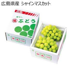 広島県産 シャインマスカット(お届け期間：8/21〜8/31)【夏の贈りもの・お中元】