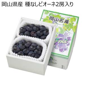 岡山県産 種なしピオーネ2房入り(お届け期間：8/21〜8/31)【夏の贈りもの・お中元】