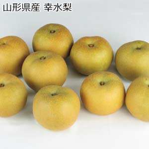 山形県産 幸水梨(お届け期間：8/21〜8/31)【夏の贈りもの・お中元】
