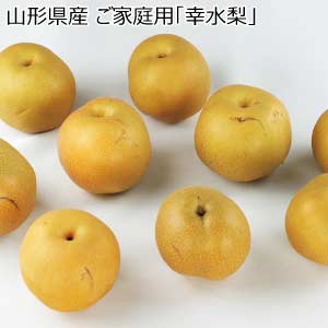 山形県産 ご家庭用「幸水梨」(お届け期間：8/21〜8/31)【夏の贈りもの・お中元】