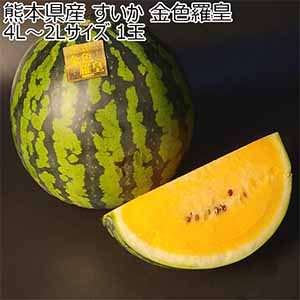 熊本県産 すいか 金色羅皇 4L〜2Lサイズ 1玉【お届け期間：5月18日〜6月15日】【おいしいお取り寄せ】