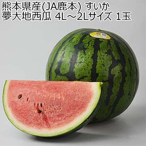 熊本県産(JA鹿本) すいか 夢大地西瓜 4L〜2Lサイズ 1玉【お届け期間：5月18日〜6月15日】【おいしいお取り寄せ】