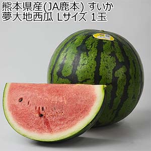 熊本県産(JA鹿本) すいか 夢大地西瓜 Lサイズ 1玉【お届け期間：5月18日〜6月15日】【おいしいお取り寄せ】