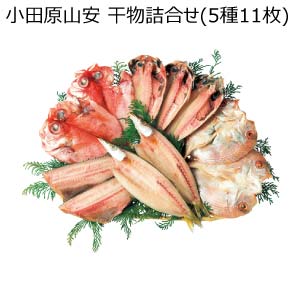 小田原山安 干物詰合せ(5種11枚)(お届け期間：8/26〜8/31）【夏の贈りもの・お中元】