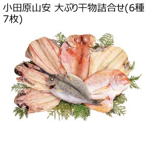 小田原山安 大ぶり干物詰合せ(6種7枚)(お届け期間：8/26〜8/31）【夏の贈りもの・お中元】