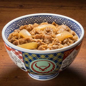 吉野家 冷凍 牛丼の具 並盛 120g×12袋(L7486)【イオンゴールドカード会員さま限定特別セール7月】【サクワ】