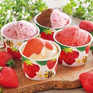 博多あまおうのこだわりアイス【夏の贈りもの・お中元】[AH-ABR]