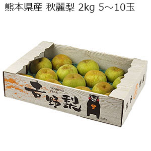 熊本県産 秋麗梨 2kg 5〜10玉【限定100点】【お届け期間：8月10日〜8月31日】【おいしいお取り寄せ】