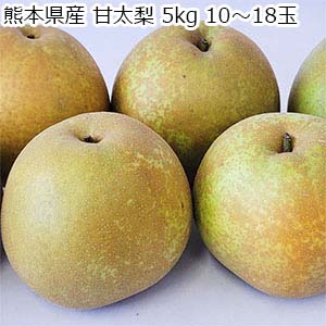 熊本県産 甘太梨 5kg 10〜18玉【限定100点】【お届け期間：8月10日〜9月20日】【おいしいお取り寄せ】