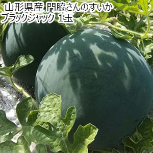 山形県産 門脇さんのすいか ブラックジャック 1玉【お届け期間：7月25日〜8月20日】【おいしいお取り寄せ】