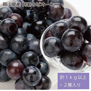 岡山県産 阿新のピオーネ 計1kg以上・2房入り【お届け期間:7月23日〜8月10日】【NN】