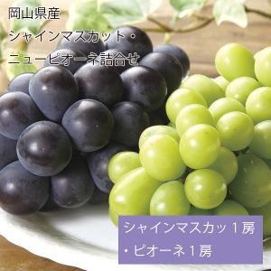 岡山県産 シャインマスカット・ピオーネ詰合せ シャインマスカット1房・ピオーネ1房【お届け期間:9月1日〜10月10日】【NN】